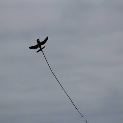 Model Air Show 2016